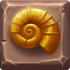 Ammonite Fossil